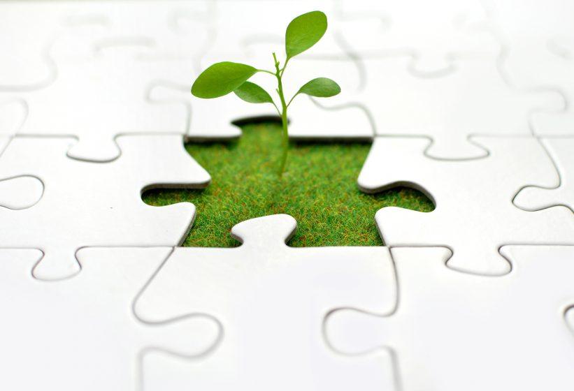 5 Things You Can Do to Grow Your Business This Year